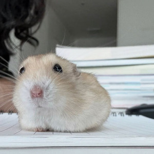 정신간호학, 모성간호학 필통, 퍼시픽 pdf 삽니다 이미지