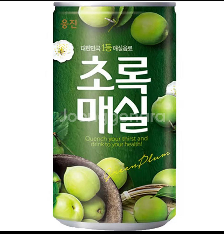 웅진 초록매실 30캔--0