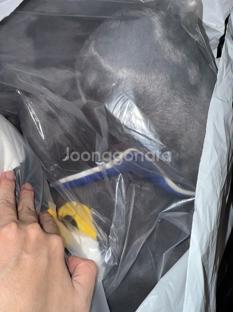 지디 굿즈 조앤프렌즈 조아 빅 러그 손수건--1