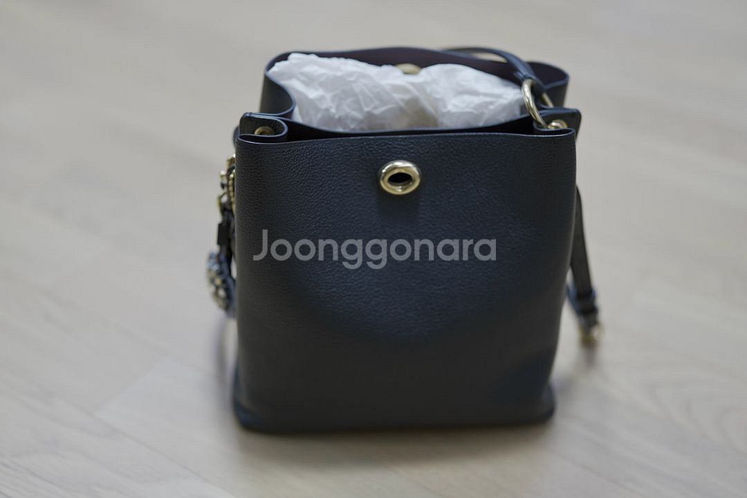 코치 가방 POLISHED PEBBLE LEATHER--6