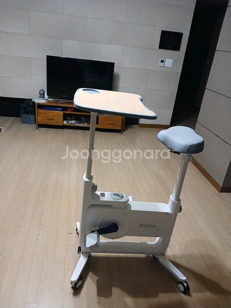 로베라 실내자전거--1