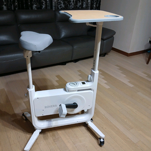 로베라 실내자전거