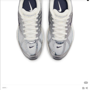 나이키 에어 페가수스 v2k 230