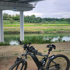 자이언트 타론E+ L사이즈