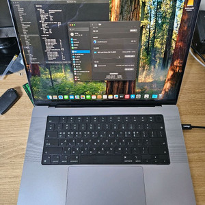 맥북프로 16인치 M1 Pro 16GB 512기가 스그