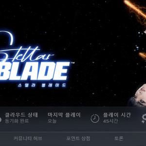 스텔라블레이드 <니케 홍련> 스킨 코드 판매 합니다