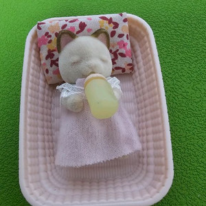 실바니안 크림캣 슬리핑 아기 이미지