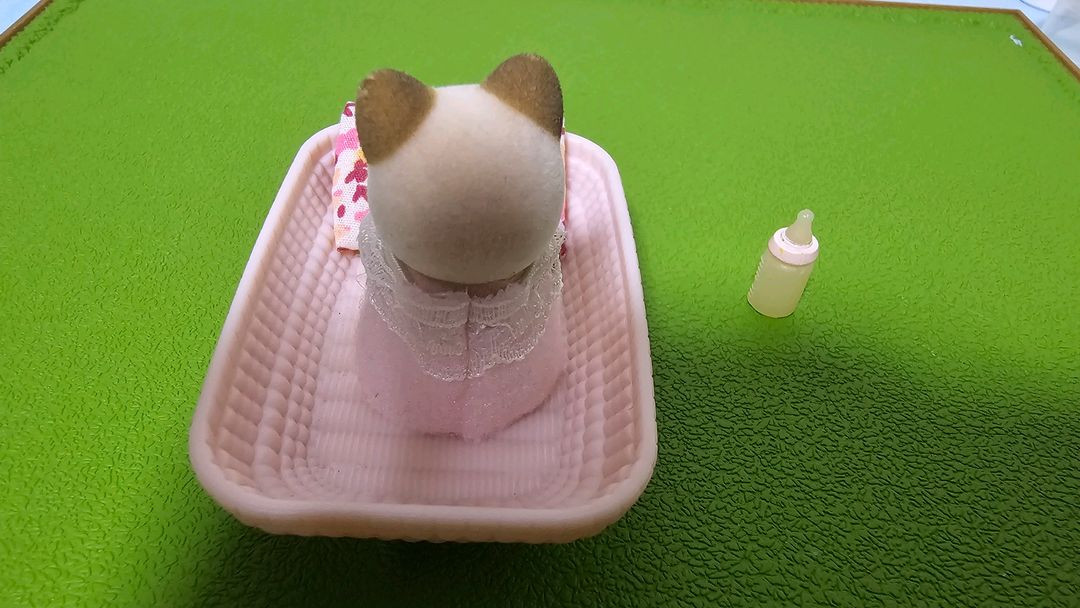 실바니안 크림캣 슬리핑 아기 이미지