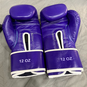 투리스코 글러브 팝니다