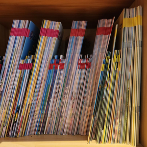 Big Cat-핑크,레드 옐로우,블루,초록,오렌지