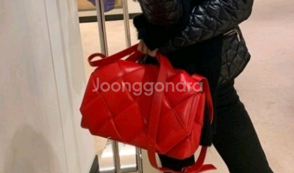 보테가 베네타 가방 패딩 탑 핸들 백 팝니다--3