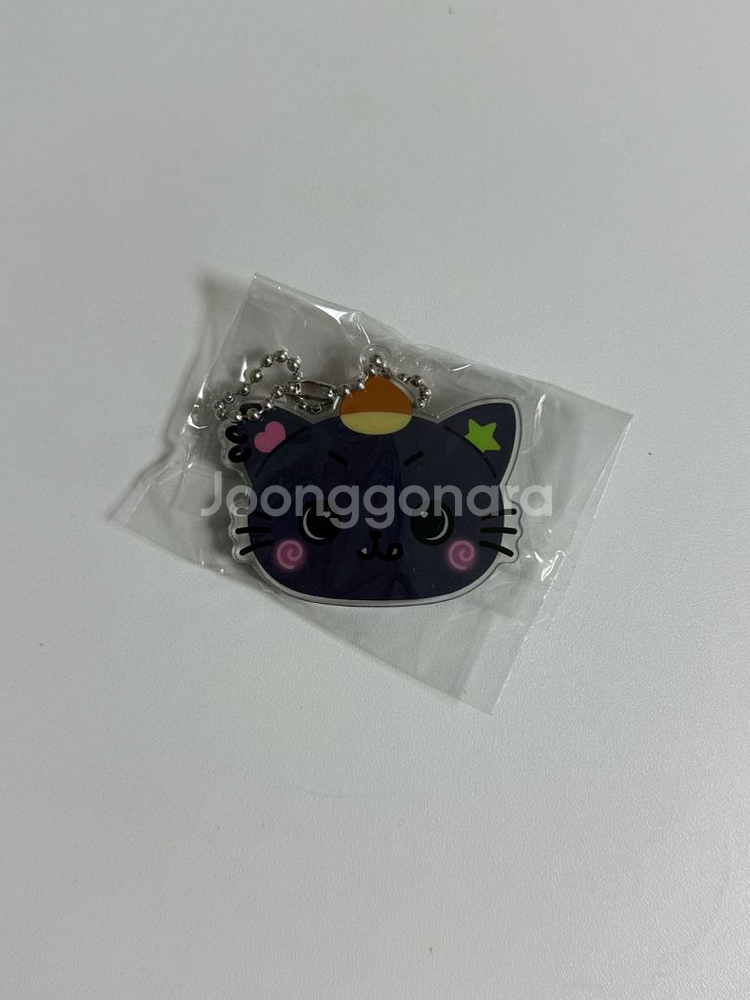 (새상품) 엔시티 위시 컬러 팝업 리쿠 쿠리 거울 키링--0