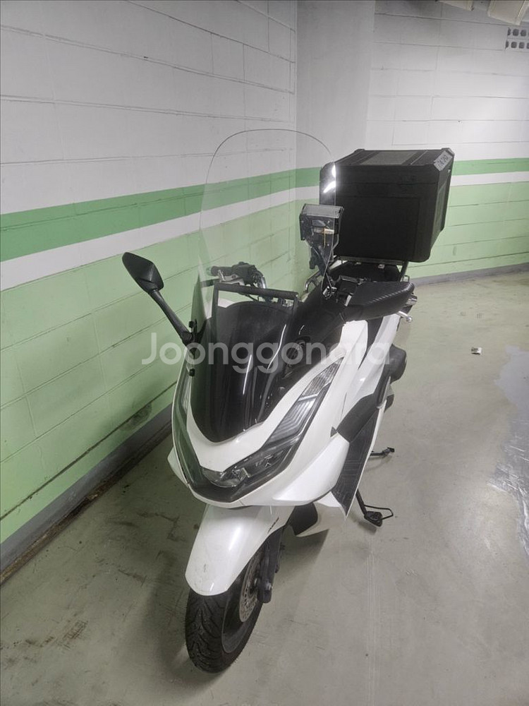 24년식 pcx125--1