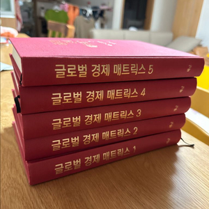 임형록 글로벌 경제매트릭스 중국편 유럽편 각각