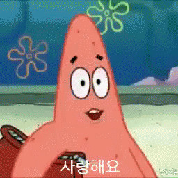 담ㅂ 댈구 해주실분