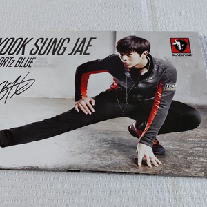 2015년 비투비 육성재 블랙야크 포스터형 카달로그