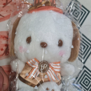 산리오 포차코 티룸 시리즈 마스코트 인형 키링