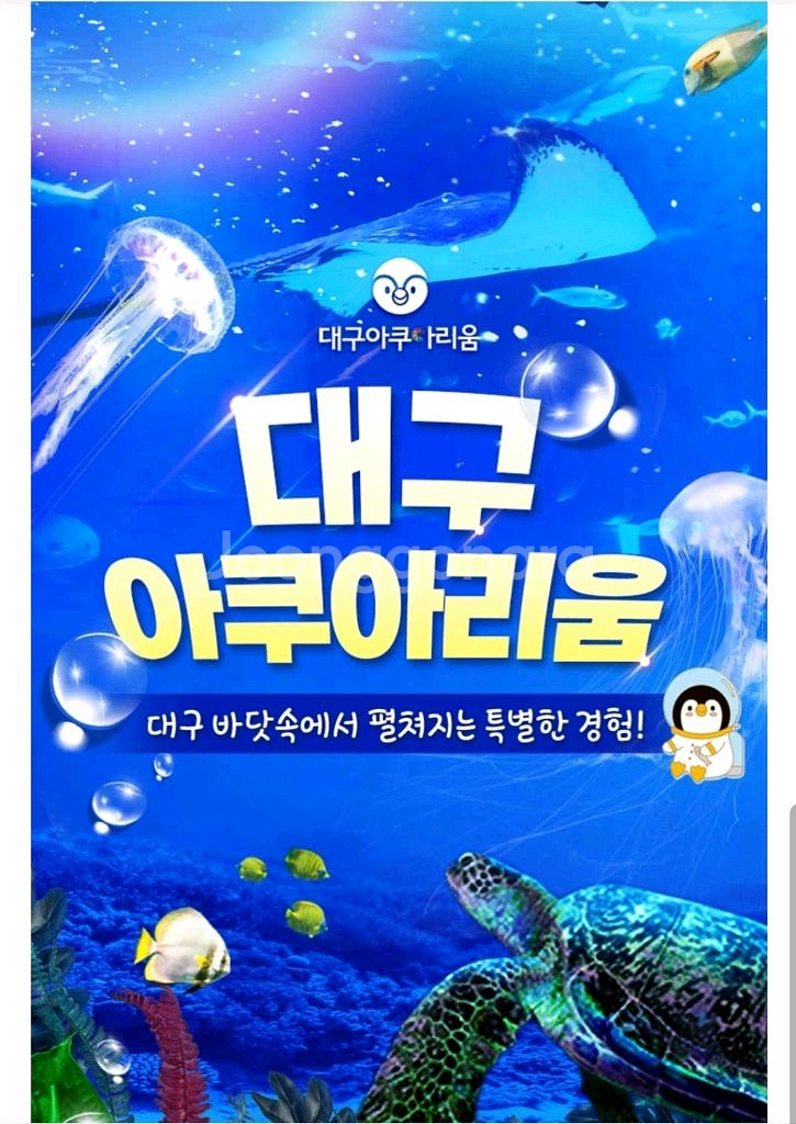대구아쿠아리움--0