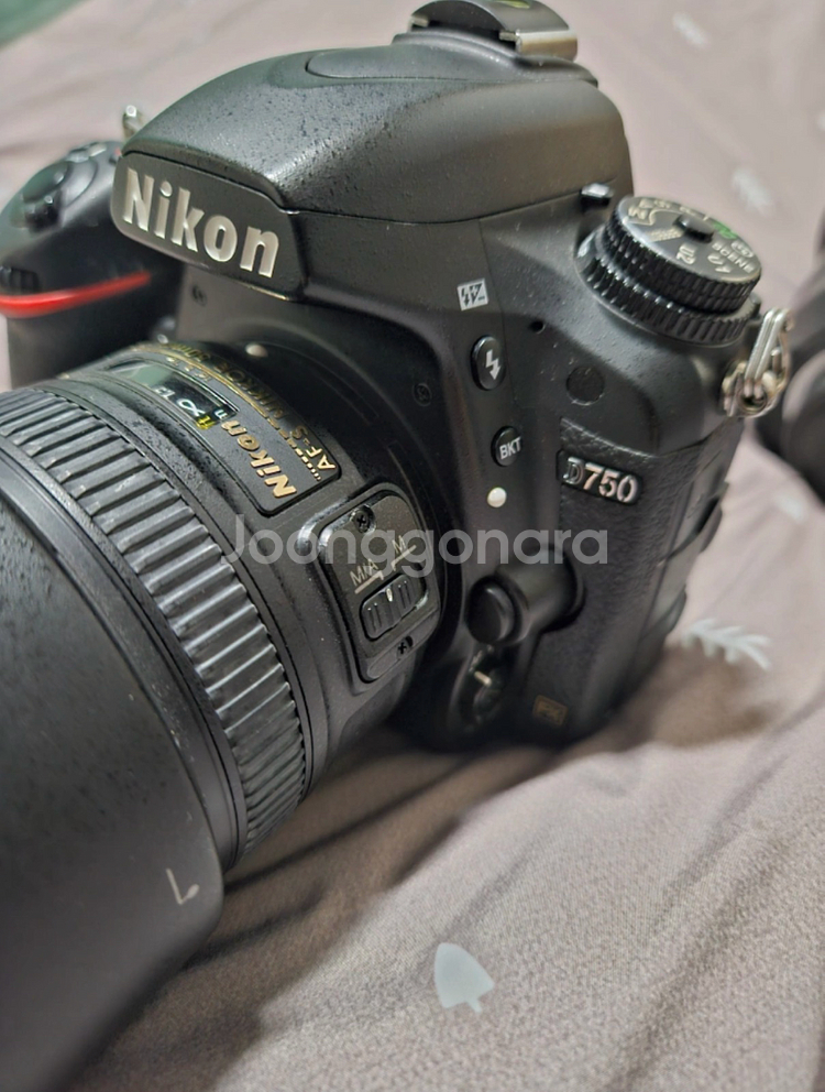 니콘 D750, nikkor 50mm 1.8, 구탐륵--1