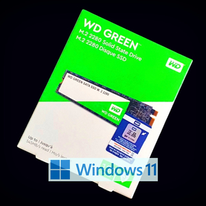 윈도우11 설치 WD M.2 SATA SSD 120GB