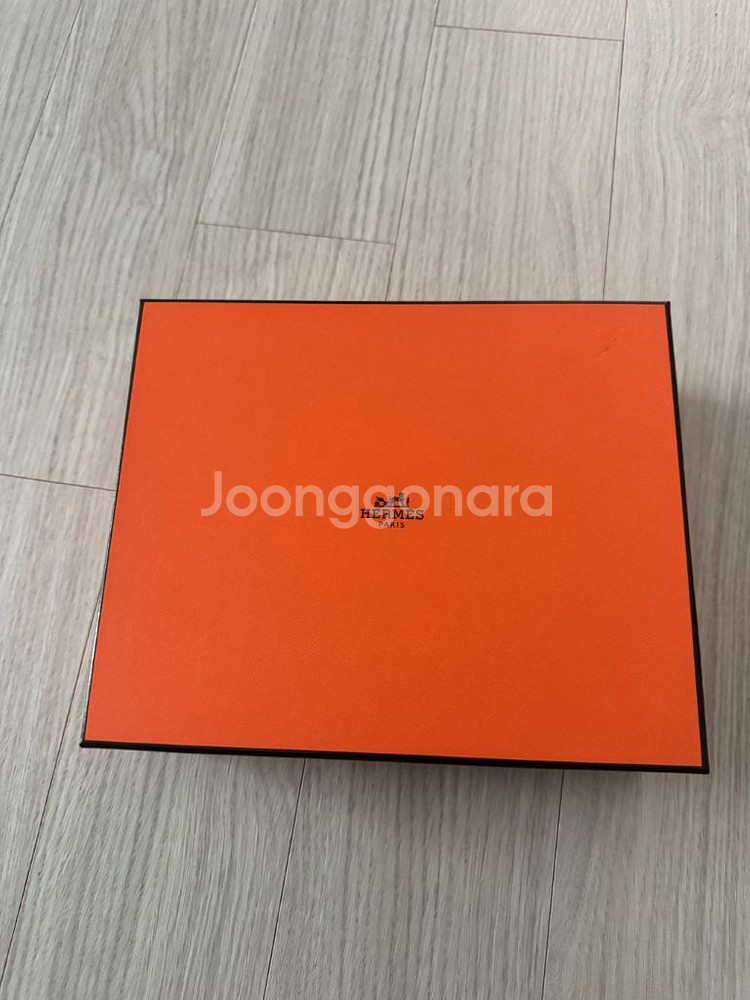 에블린16미니 2025--4