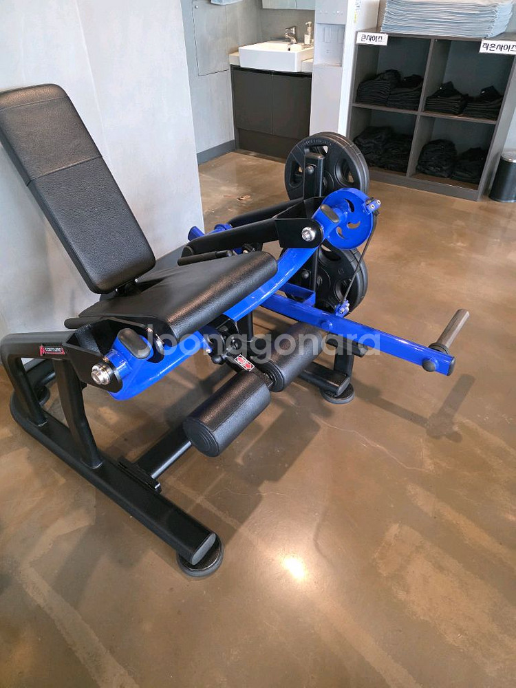 뉴택 토쳐 와이드풀다운 로우로우 닐링레그컬등 7종--7