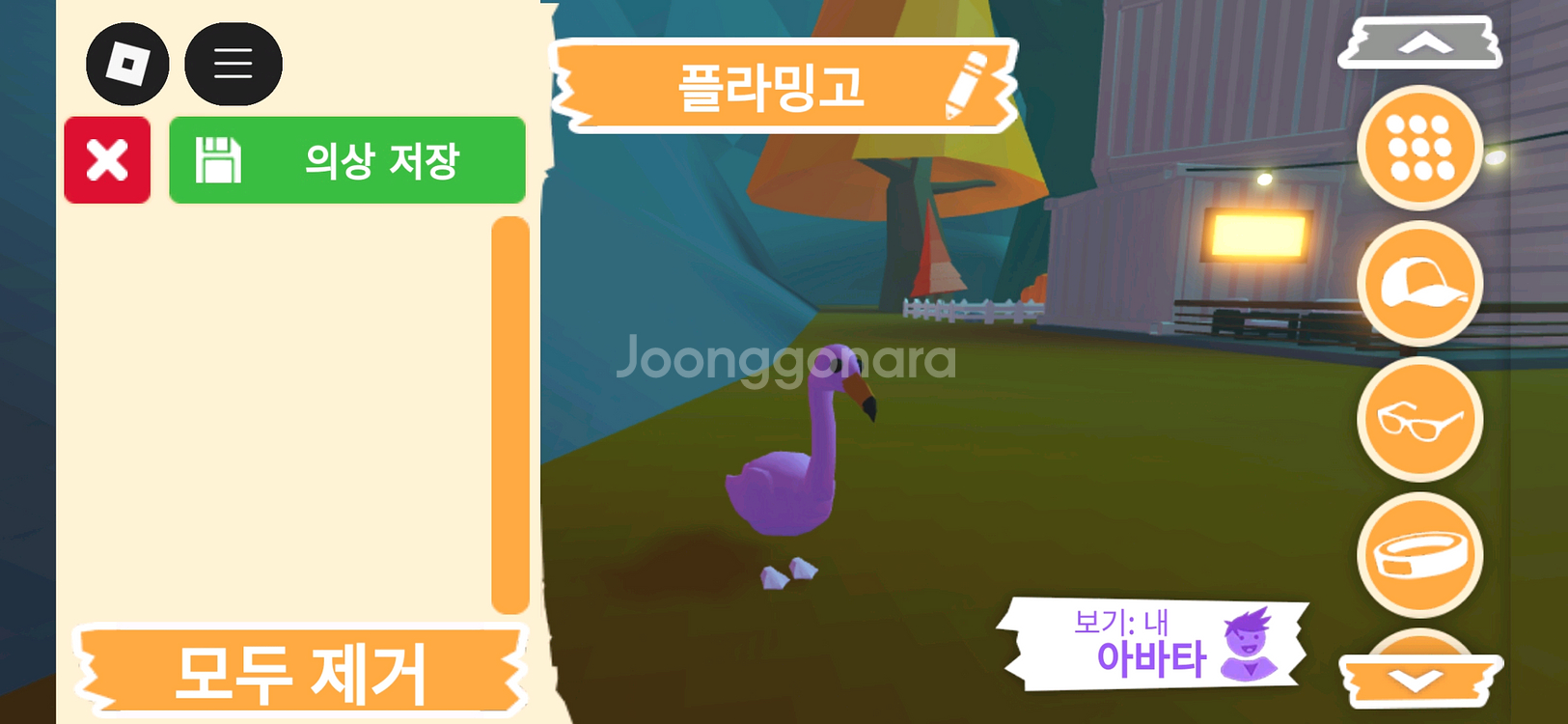 입양하세요 펫 플라밍고 (홍학) 판매합니다--2