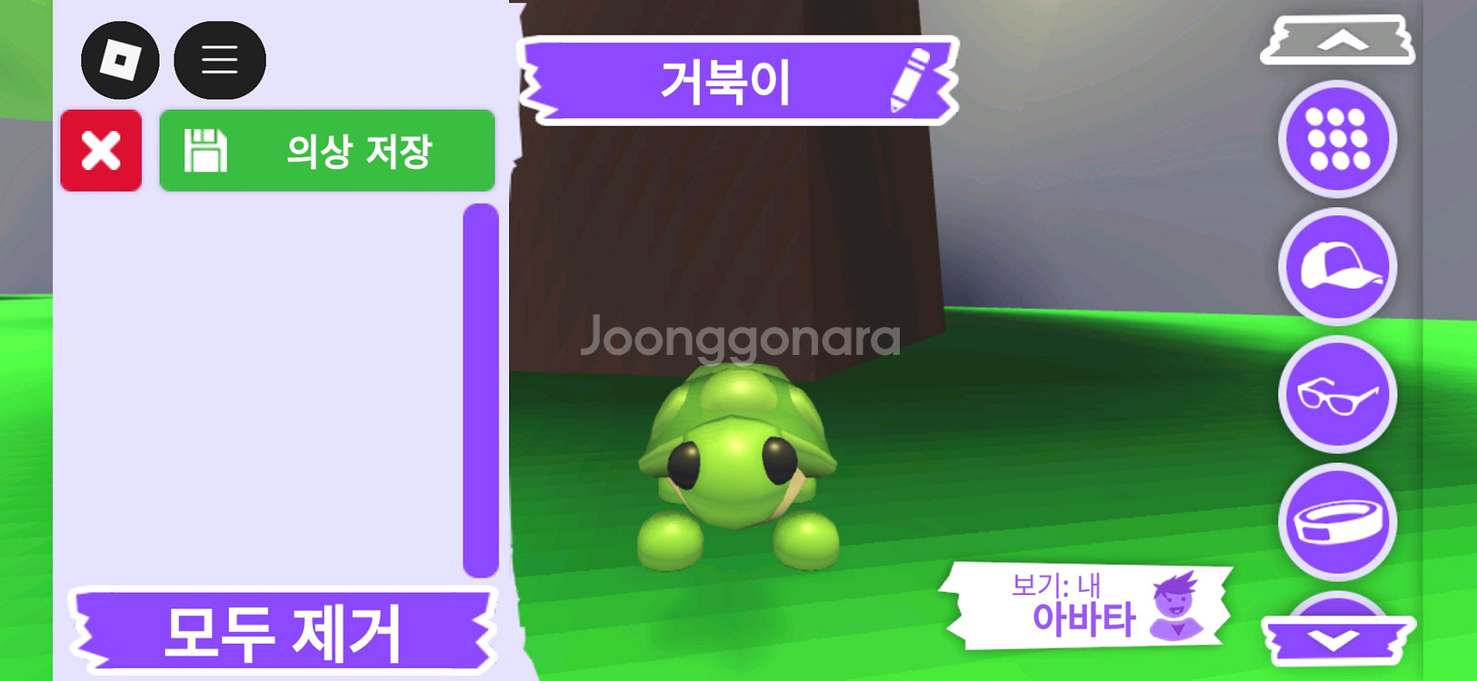 입양하세요 펫 거북이 판매합니다--0