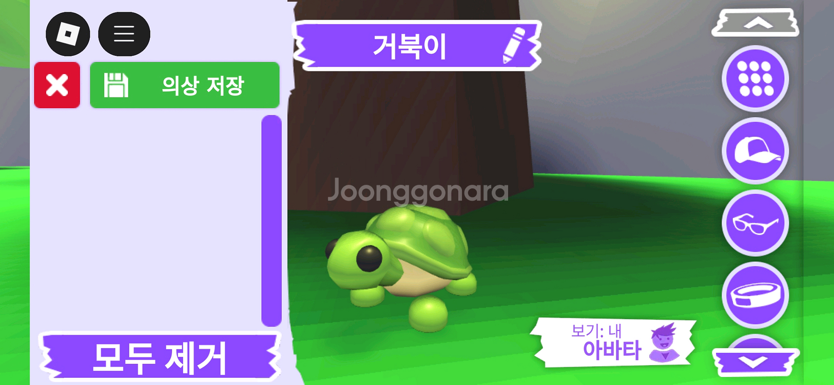입양하세요 펫 거북이 판매합니다--2
