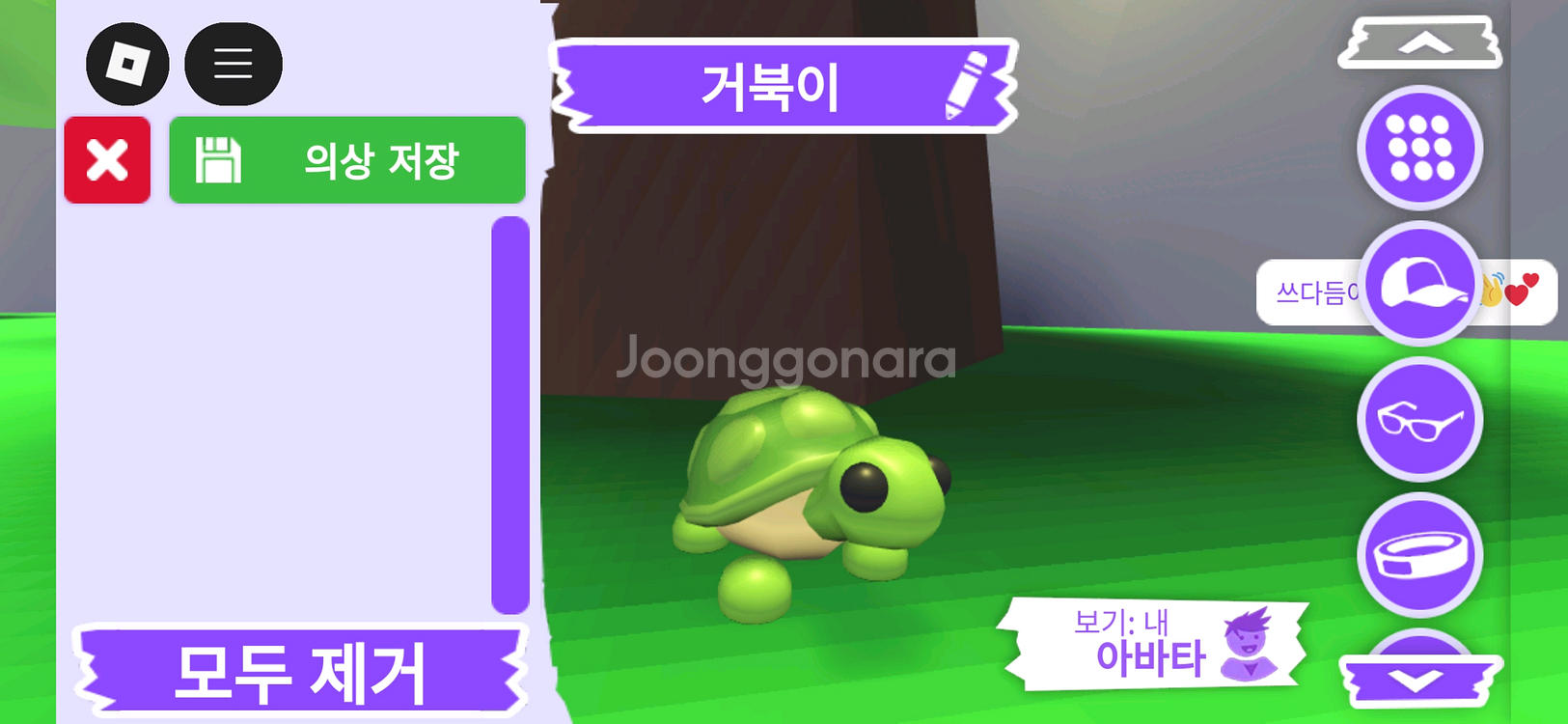 입양하세요 펫 거북이 판매합니다--1