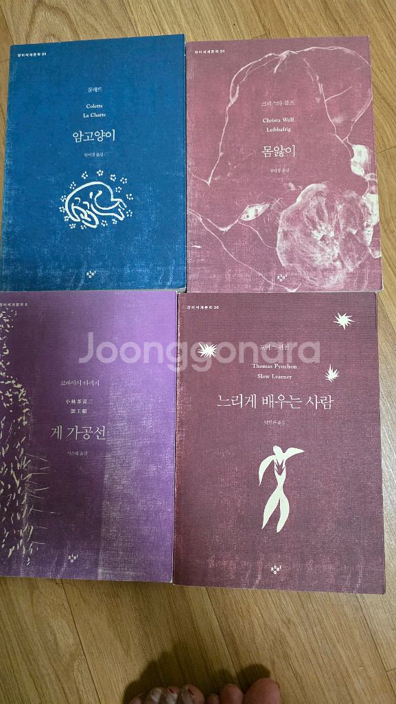 도서-창비 세계문학 8권--0