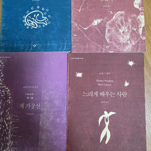 도서-창비 세계문학 8권