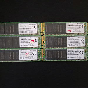 트랜센드 M.2 NVME SSD 1TB(국내무상 AS)