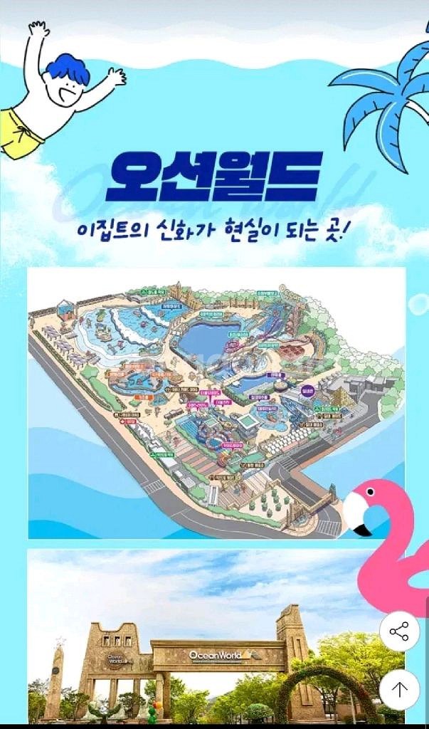 캐리비안베이 24000 오션월드 19000--1
