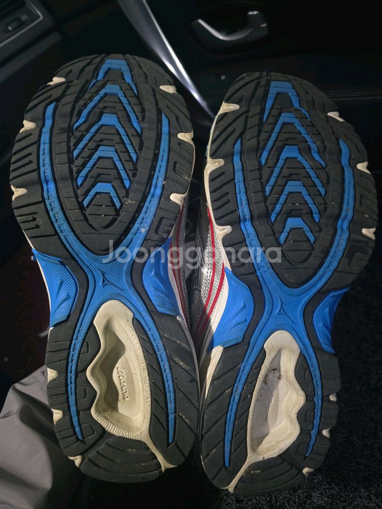 미즈노 mxr 오사카 260--3