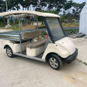 에이프로 골프카트 잔동화물