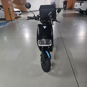 타우러스ES듀얼 60V 30암페아 배터리2개 팝니다.