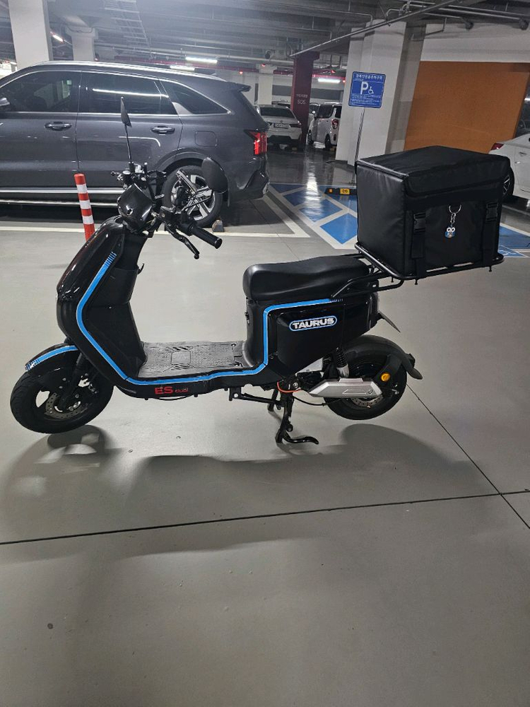 타우러스ES듀얼 60V 30암페아 배터리2개 팝니다.--2