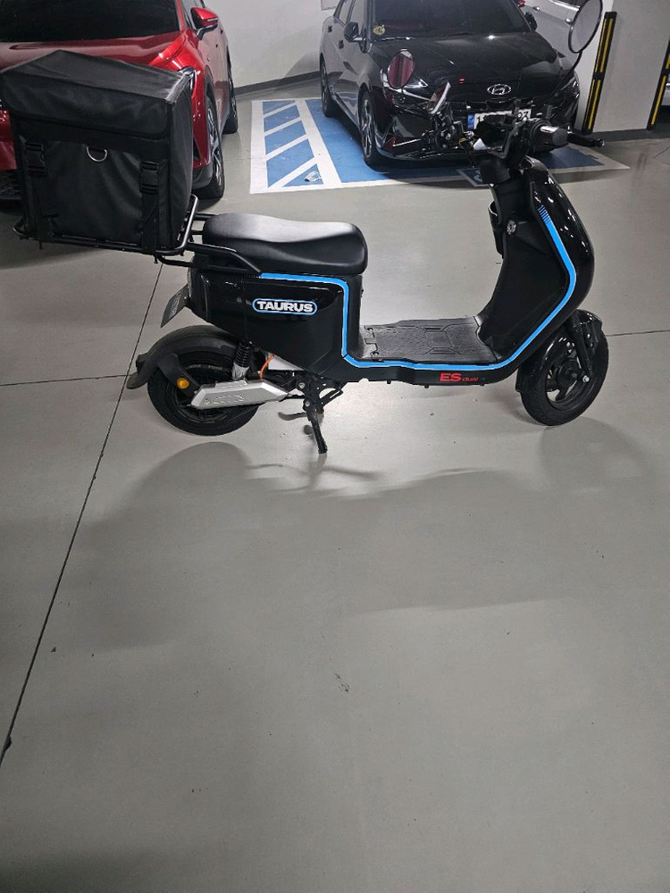 타우러스ES듀얼 60V 30암페아 배터리2개 팝니다.--5