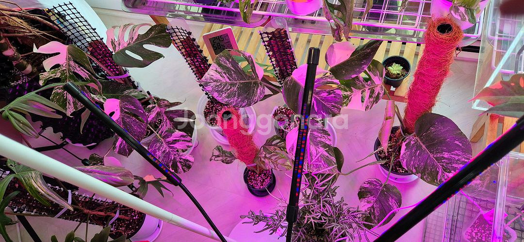 (가격내림)식물등(4구)--1