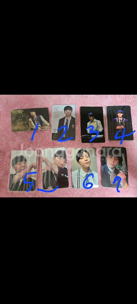 연뮤 박정원 폴라 포카--0