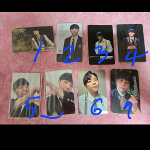 연뮤 박정원 폴라 포카