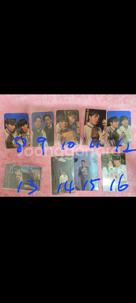 연뮤 박정원 폴라 포카--1