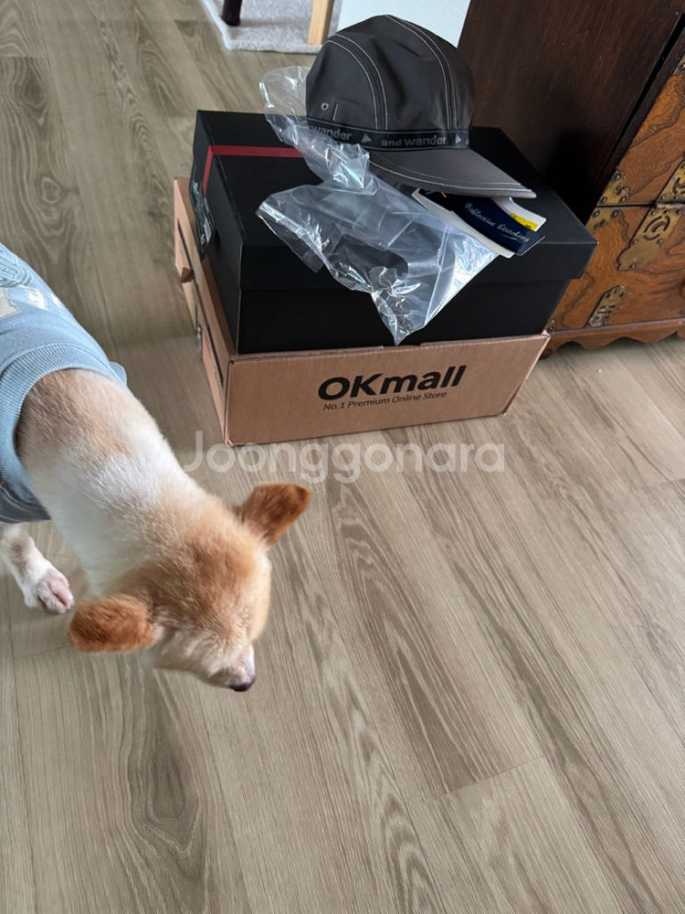 프라다 아메리카컵 앤드원더 모자--0