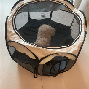 딩동펫 애견 모기장텐트