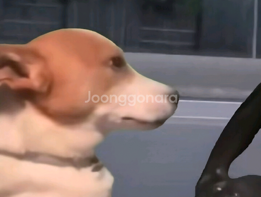 구글 팝니다--0