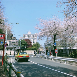 bmw g30 순정 와이퍼 삽니다