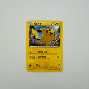 포켓몬카드 164/XY-P