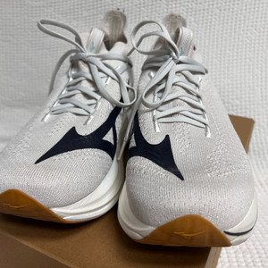 미즈노 네오비스타2 290mm