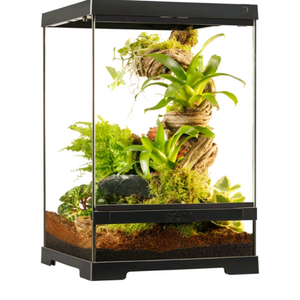 팔루다리움 유리장